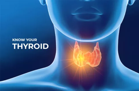 Hyperthyroidism vs. Hypothyroidism | Thyroid 101 | Symptoms