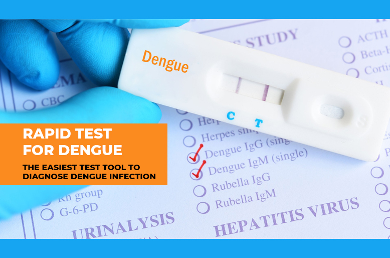 Rapid Test For Dengue – The Easiest Tool To Diagnose Dengue Infection