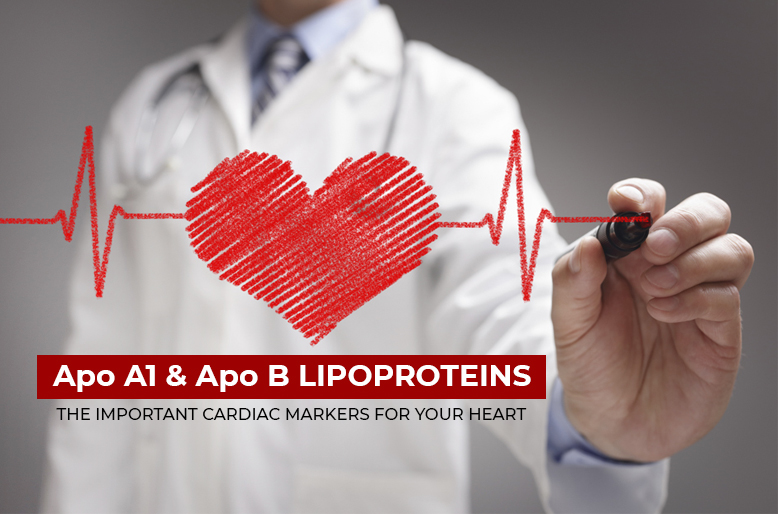 Apo A1 & Apo B LIPOPROTEINS – THE IMPORTANT CARDIAC MARKERS FOR YOUR HEART…