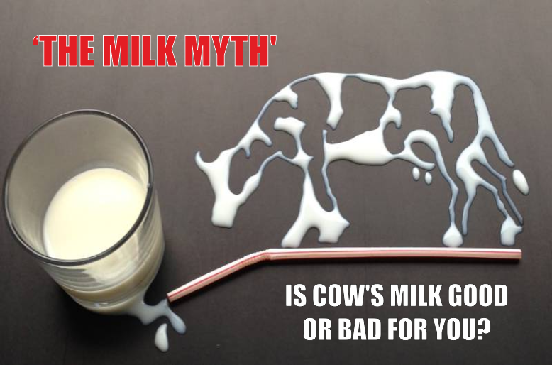 the-milk-myth-is-cow-s-milk-good-or-bad-for-you